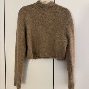 Zara Tan Turtleneck Sweater